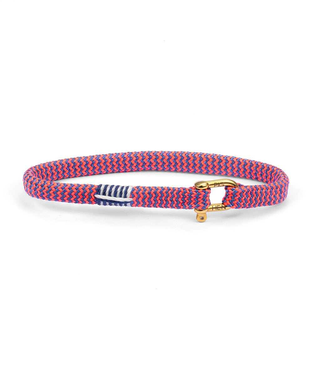 Pink and blue braided dog collar with a gold clasp on a white background
